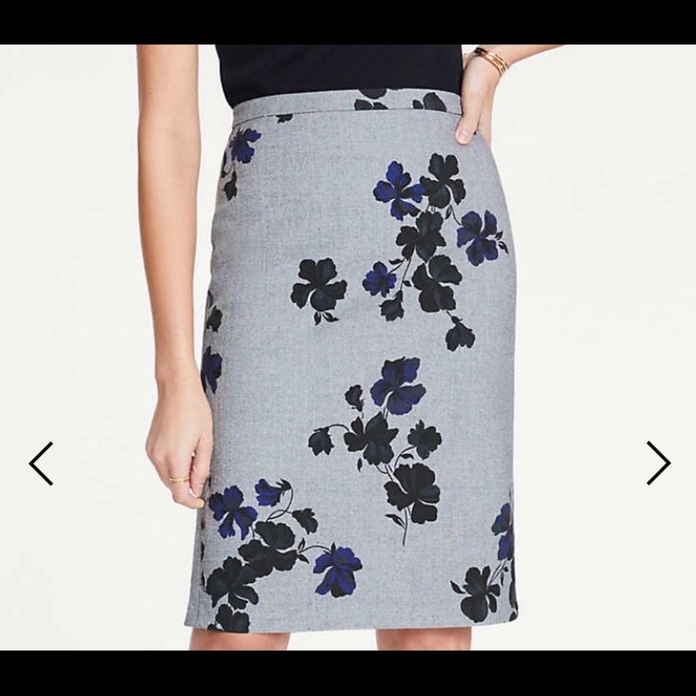 Amazing Ann Taylor Skirt!!